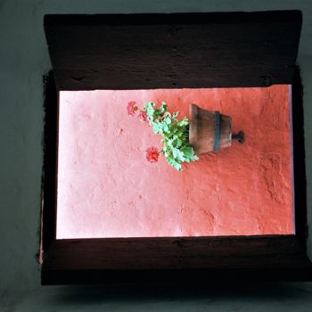 Photographie intitulée "Geranium. Peru" par Boris Davidovich, Œuvre d'art originale, Photographie numérique