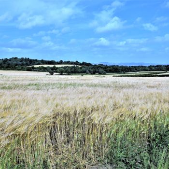 Photographie intitulée "Fields of Scotland." par Boris Davidovich, Œuvre d'art originale, Photographie numérique