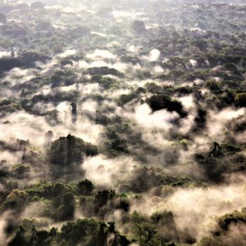 "Morning. Jungle. So…" başlıklı Fotoğraf Boris Davidovich tarafından, Orijinal sanat, Dijital Fotoğrafçılık