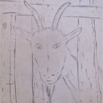 Dessin intitulée "Chèvres de Vanessa" par Roberto Urbano, Œuvre d'art originale, Crayon
