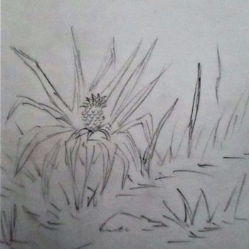 Dessin intitulée "Plantation d' ananas" par Roberto Urbano, Œuvre d'art originale, Crayon