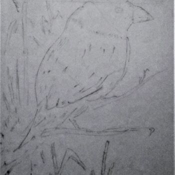 Disegno intitolato "L' oiseau bleu." da Roberto Urbano, Opera d'arte originale, Matita