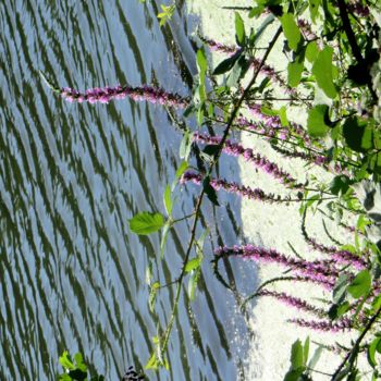 Photography titled "arabesques florales" by Jean Louis Boguet, Original Artwork