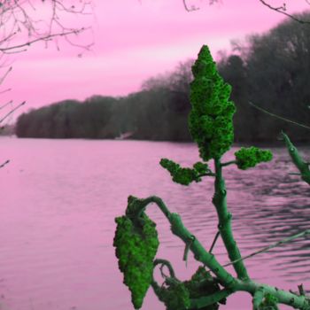 Fotografia intitulada "Si l'eau était rose!" por Jean Louis Boguet, Obras de arte originais