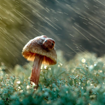 Photographie intitulée "Under rain" par Ekaterina Bokova, Œuvre d'art originale, Photographie manipulée