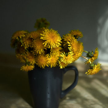 Φωτογραφία με τίτλο "Желтые одуванчики" από Ekaterina Bokova, Αυθεντικά έργα τέχνης, Ψηφιακή φωτογραφία