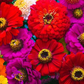 Фотография под названием "bouquet" - Boris Belkania, Подлинное произведение искусства, Цифровая фотография
