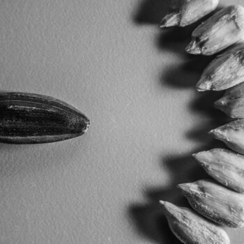 「black and white」というタイトルの写真撮影 Boris Belkaniaによって, オリジナルのアートワーク, デジタル