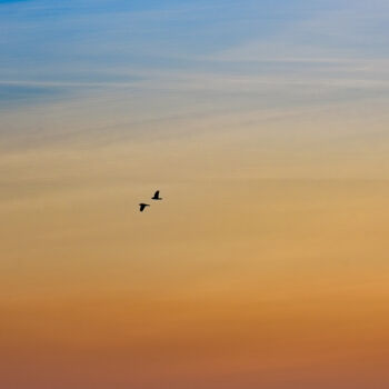 Fotografia zatytułowany „Sky” autorstwa Boris Belkania, Oryginalna praca, Fotografia cyfrowa