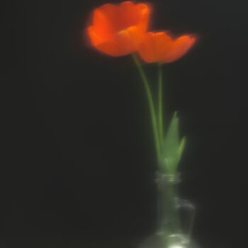 Photography titled "tulips in a decanter" by Boris Belkania, Original Artwork, Digital Photography
