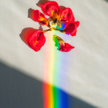 Fotografie getiteld "petals" door Boris Belkania, Origineel Kunstwerk, Digitale fotografie