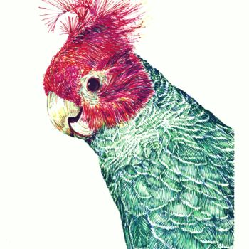 제목이 "A Handsome Parrot"인 그림 Borys Kuzenko로, 원작, 볼펜