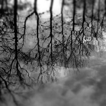 Fotografie getiteld "Reflets dans le lac" door Boris Barbey, Origineel Kunstwerk, Digitale fotografie