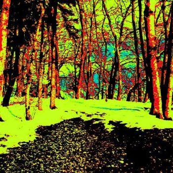 Arts numériques intitulée "forêt n° 3" par Boris Ghendrich, Œuvre d'art originale