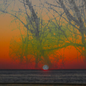 Фотография под названием "Sunset. I/IV" - Borrel, Подлинное произведение искусства, Цифровая фотография Установлен на плекси…