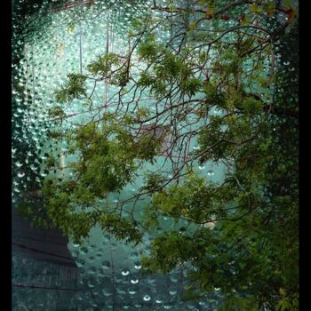 Fotografia intitulada "Matrice Green" por Borrel, Obras de arte originais, Fotografia digital