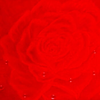 "Rote Rose" başlıklı Tablo Bosa Steinert tarafından, Orijinal sanat, Petrol