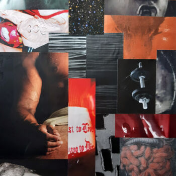 Collages intitolato "Anatomie du plaisir…" da Boyfred, Opera d'arte originale, Collages