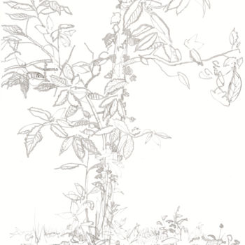 Рисунок под названием "d70-serie-des-arbre…" - Richard Brachais, Подлинное произведение искусства