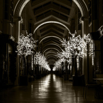 Photography titled "Burlington Arcade" by Jgc Braticius, Original Artwork, Digital Photography