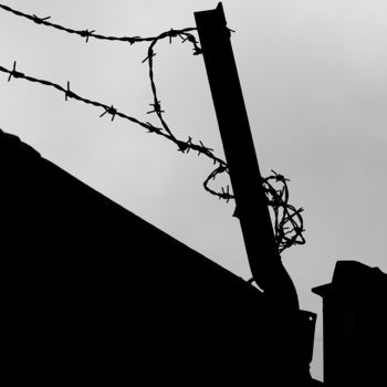 摄影 标题为“Barbed wire II” 由Jgc Braticius, 原创艺术品, 数码摄影
