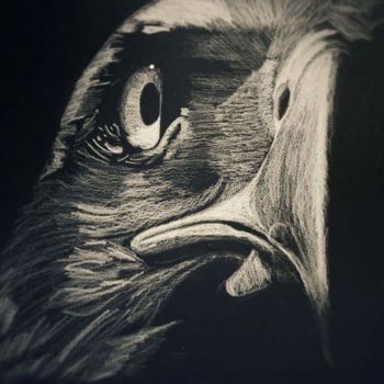 Drawing titled "Aigle" by Brenda Desnoulet, Original Artwork, Pencil
