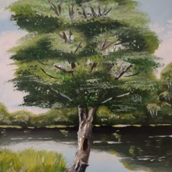 Pintura intitulada "Árvore à beira do l…" por Breno Chieppe Traspadini, Obras de arte originais, Óleo Montado em Armação em…
