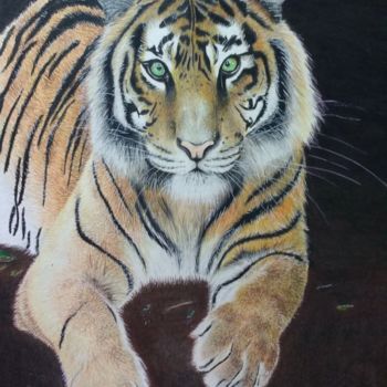 Drawing titled "Tigre á lápis" by Brenon, Original Artwork, Pencil