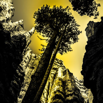 Fotografie mit dem Titel "Bryce Canyon - Limi…" von Brice Bourgois, Original-Kunstwerk
