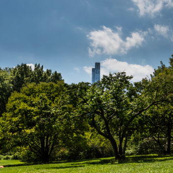 "Central Park La dét…" başlıklı Fotoğraf Brice Bourgois tarafından, Orijinal sanat, Dijital Fotoğrafçılık