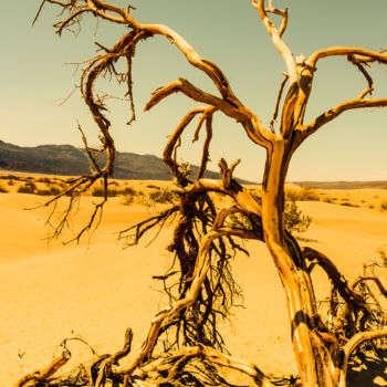 Photographie intitulée "Dead Valley - Limit…" par Brice Bourgois, Œuvre d'art originale, Photographie numérique