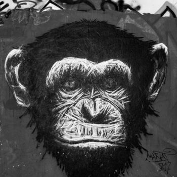 Fotografie mit dem Titel "Le chimpanzé" von Brice Bourgois, Original-Kunstwerk, Digitale Fotografie