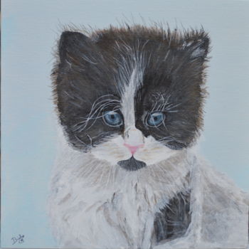 Peinture intitulée "Chaton aux yeux ble…" par Brigitte Didier (Biche), Œuvre d'art originale, Acrylique