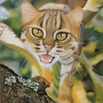 Рисунок под названием "Rusty spotted cat" - Brigitta Lukács, Подлинное произведение искусства, Пастель