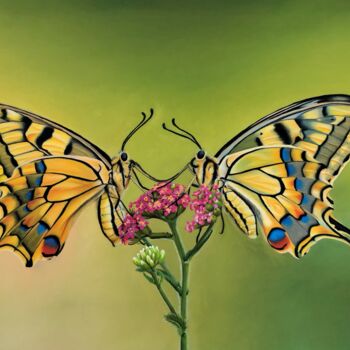 Ζωγραφική με τίτλο "Butterflies" από Brigitta Lukács, Αυθεντικά έργα τέχνης, Παστέλ