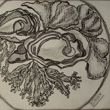 图画 标题为“Huîtres ouvertes, l…” 由Brigitte Payen (B.PAYEN), 原创艺术品, 石墨