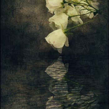 Fotografia intitolato "Only a Rose." da Dave English, Opera d'arte originale, Fotografia digitale