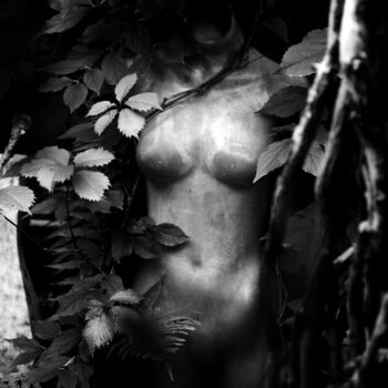Photographie intitulée "Hidden." par Dave English, Œuvre d'art originale, Photographie numérique