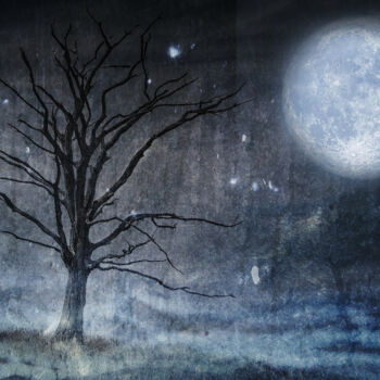 Photography titled "Moonshadow." by Dave English, Original Artwork, Manipulated Photography