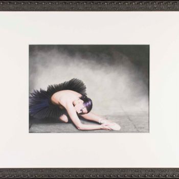 图画 标题为“Black Swan” 由Brita Seifert, 原创艺术品, 粉彩