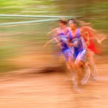 Photography titled "Tracking the XC tom…" by B.Rossitto, Original Artwork
