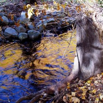 Photographie intitulée "Gold and Blue Water" par B.Rossitto, Œuvre d'art originale