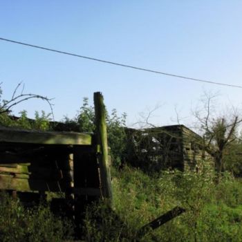 Photography titled "Treasured Sheds" by Brother Phil, Original Artwork