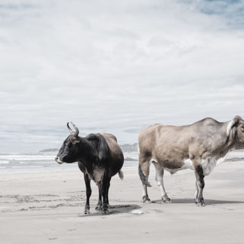 Photographie intitulée "Huleleka" par Bruce Boyd, Œuvre d'art originale