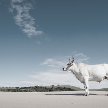 Fotografia zatytułowany „Mgazi” autorstwa Bruce Boyd, Oryginalna praca