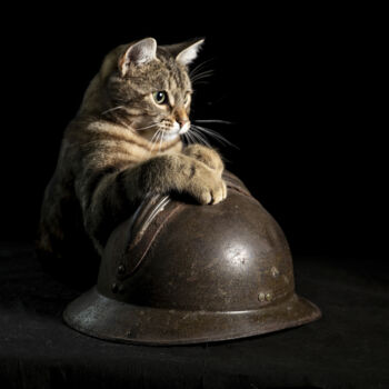 Фотография под названием "le chat et le casque" - Bruno Bisanti, Подлинное произведение искусства, Не манипулируемая фотогра…