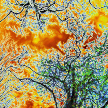Фотография под названием "arbre abstrait" - Bruno Bisanti, Подлинное произведение искусства, Цифровая фотография