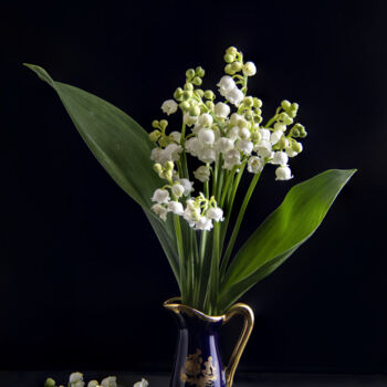Fotografia zatytułowany „Bouquet de muguets” autorstwa Bruno Bisanti, Oryginalna praca, Fotografia nie manipulowana