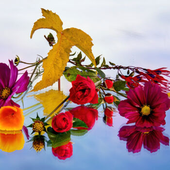 Фотография под названием "Fleurs d'automne" - Bruno Bisanti, Подлинное произведение искусства, Цифровая фотография
