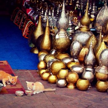 Photography titled "Marrakesh kittens" by Gonçalo Costa, Original Artwork, Digital Photography